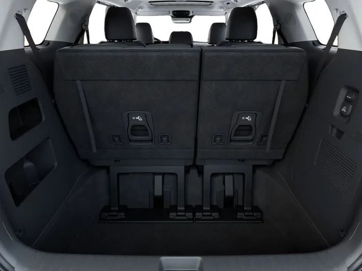 2026 Kia Carnival - view 19