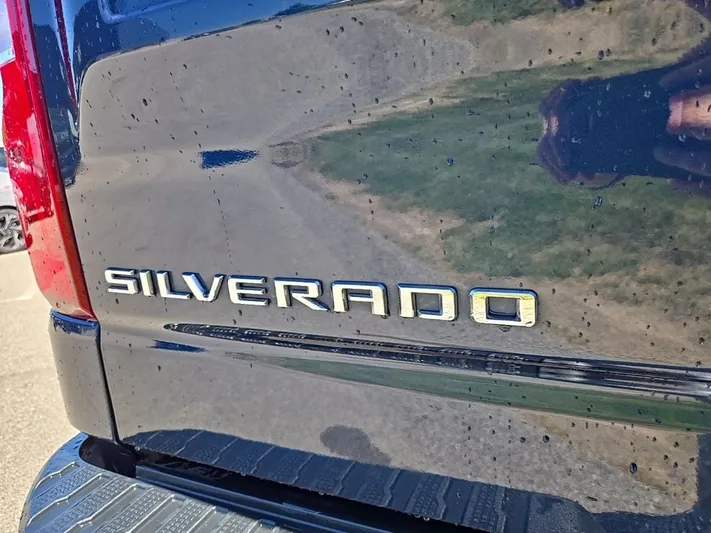2020 Chevrolet Silverado - view 5