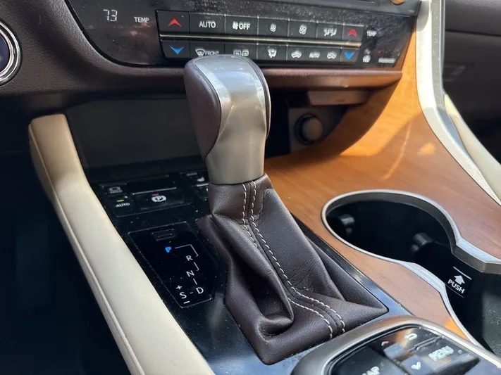 2017 Lexus RX - view 19