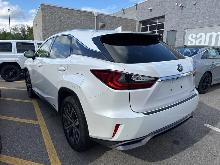 2017 Lexus RX - view 51