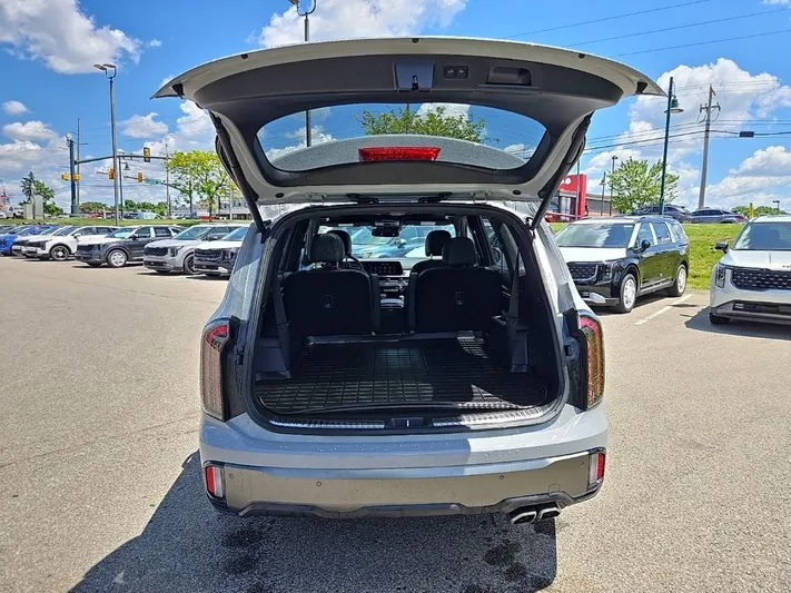 2023 Kia Telluride - view 6