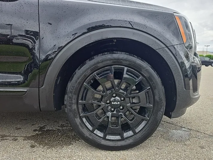 2022 Kia Telluride - view 10