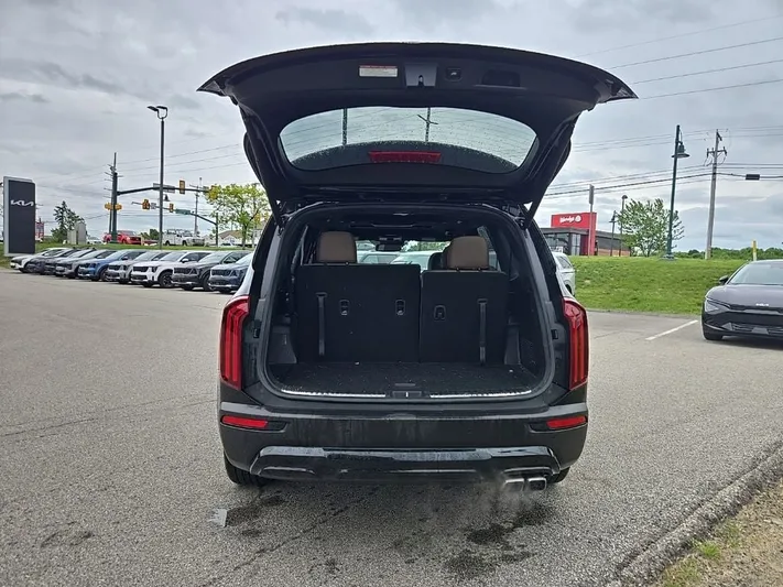 2022 Kia Telluride - view 31