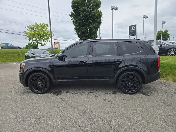 2022 Kia Telluride - view 6