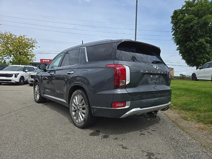 2020 Hyundai Palisade - view 6