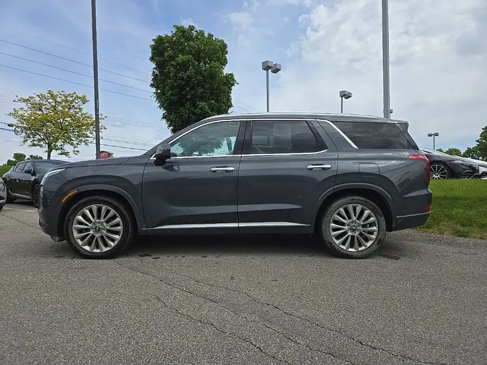 2020 Hyundai Palisade - view 7