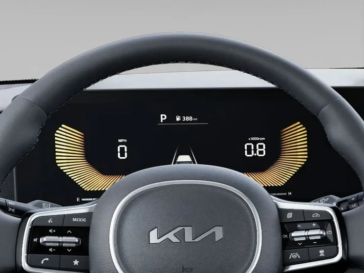 2026 Kia Carnival - view 21