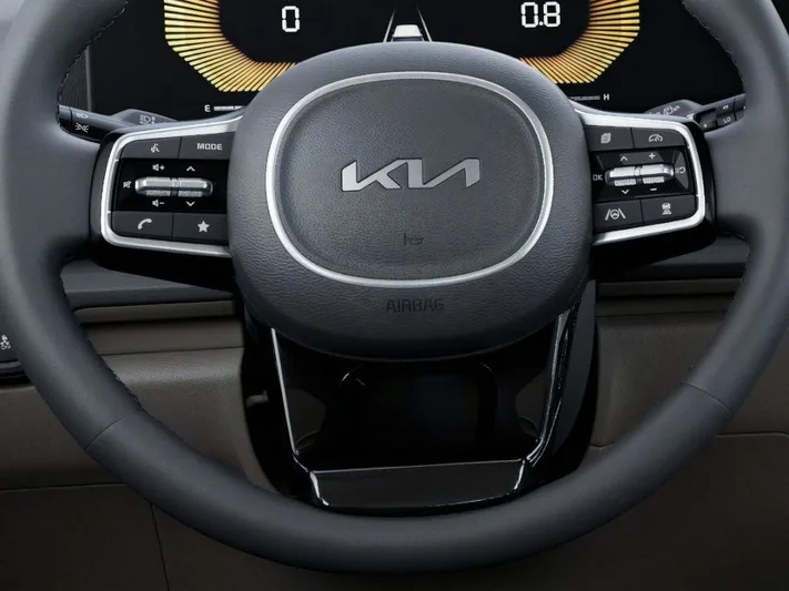 2026 Kia Carnival - view 22