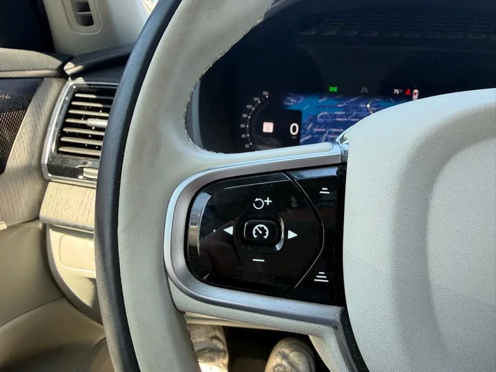 2025 Volvo XC90 - view 15